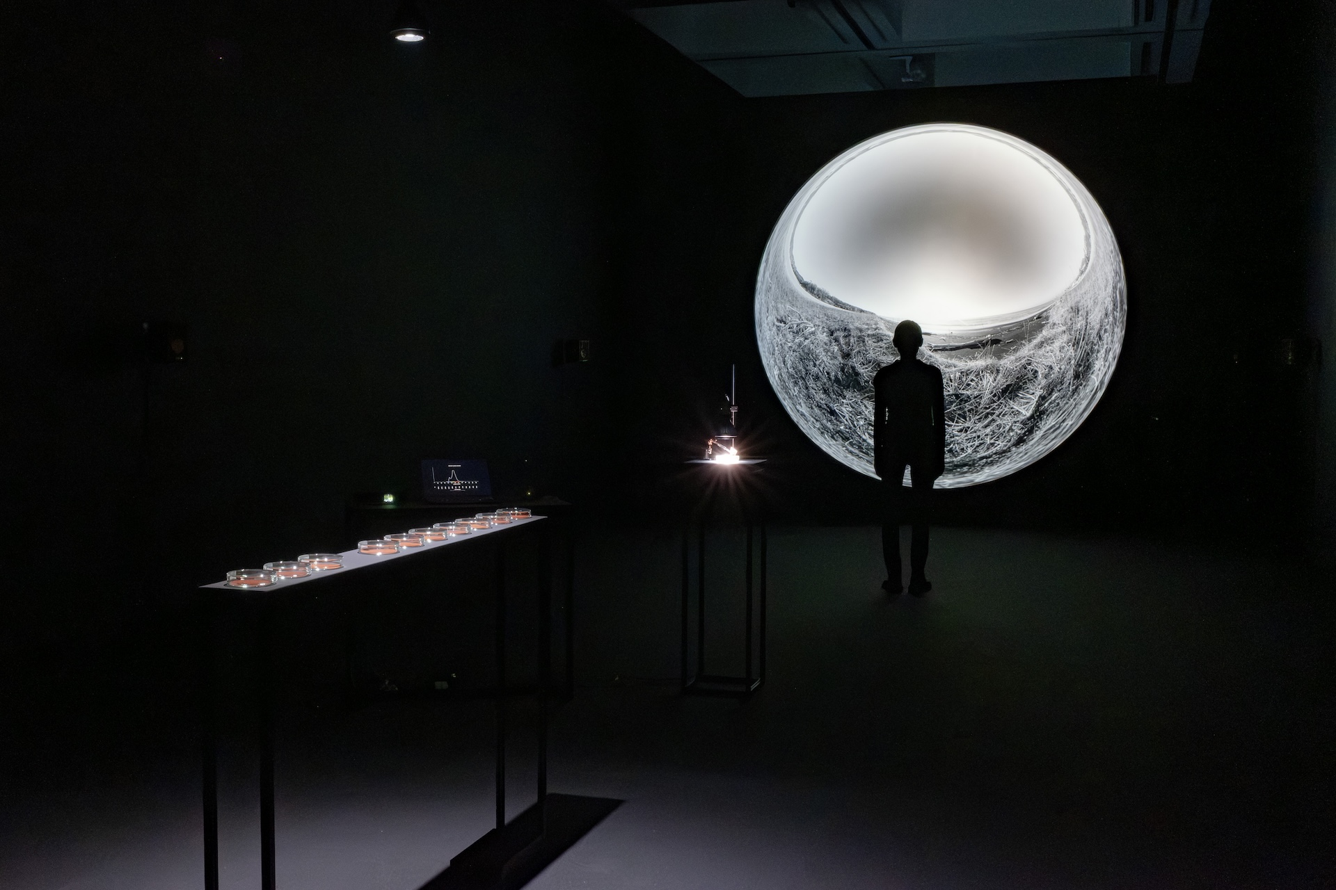 Reflections - A Distant Light