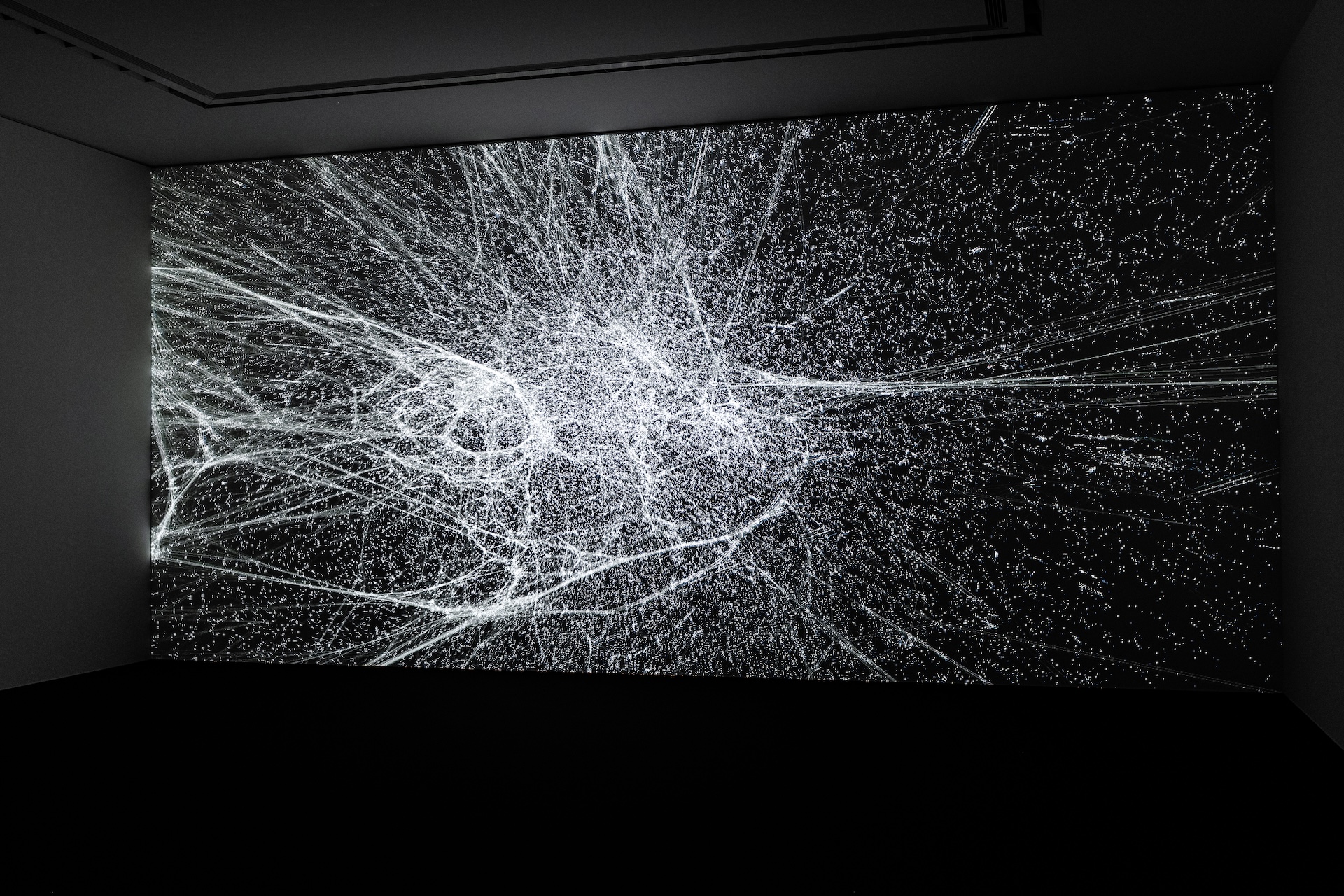 VISION Stars and Star Charts | Star Chart III: Each Being