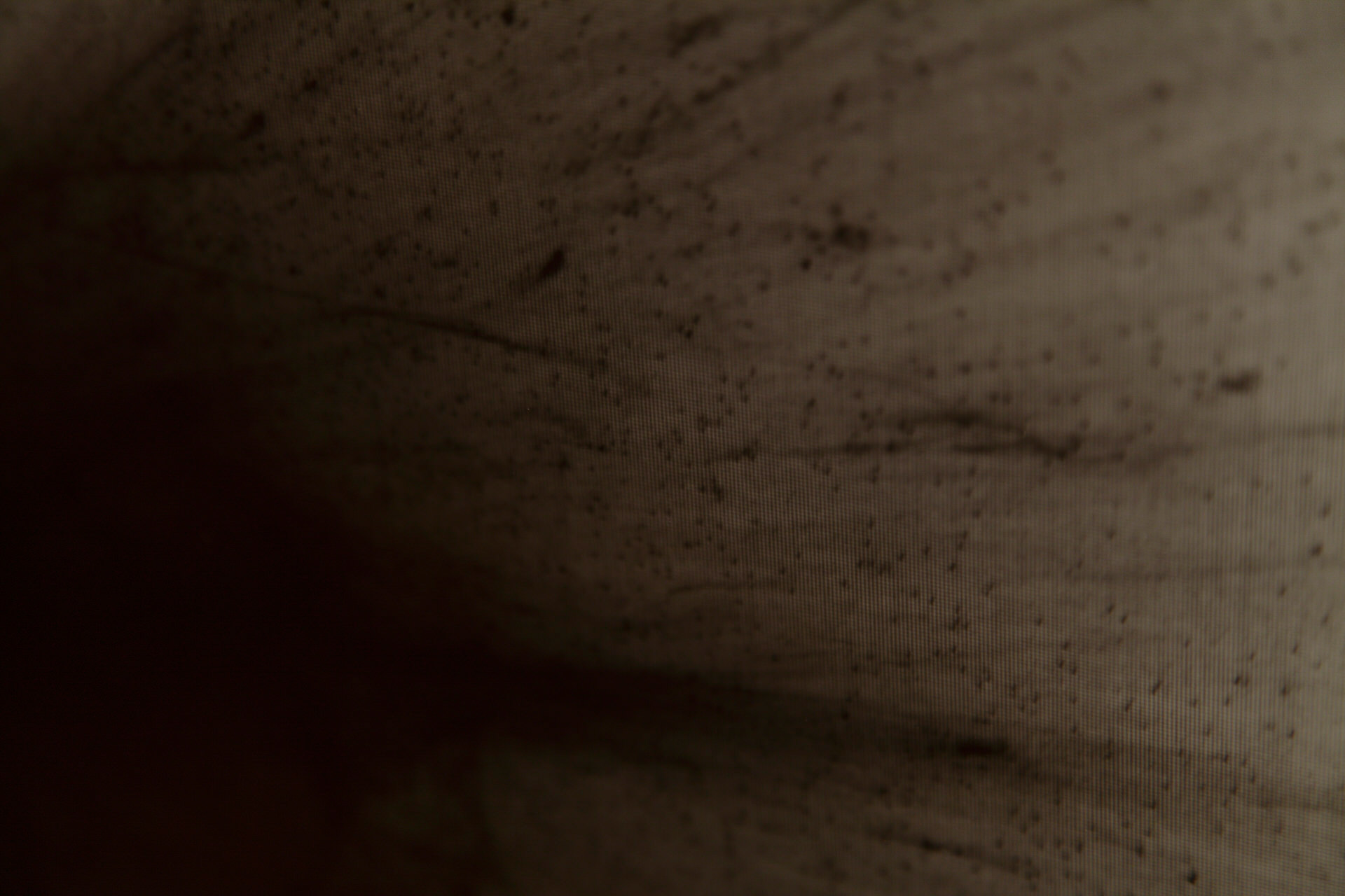 White Cube Exhibition